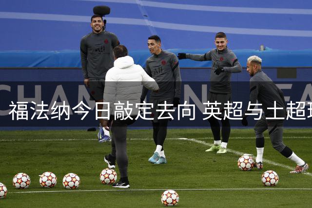 福法纳今日敲定去向 英超与土超球队成候选