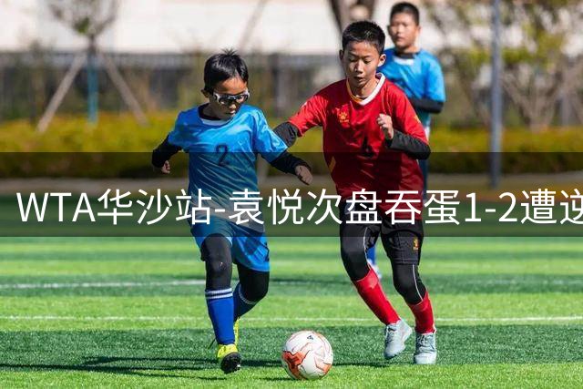 WTA华沙站-袁悦次盘吞蛋1-2遭逆转 无缘晋级八强